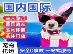 西双版纳嘎洒航空运输国际宠物托运 【国