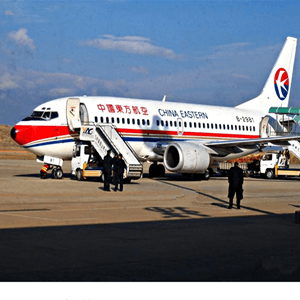 西双版纳嘎洒航空运输航空快运业稳步发展的原因是什么？